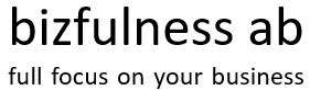 bizfulness